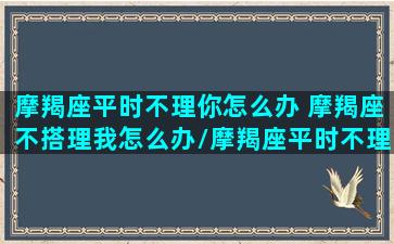 摩羯座平时不理你怎么办 摩羯座不搭理我怎么办/摩羯座平时不理你怎么办 摩羯座不搭理我怎么办-我的网站